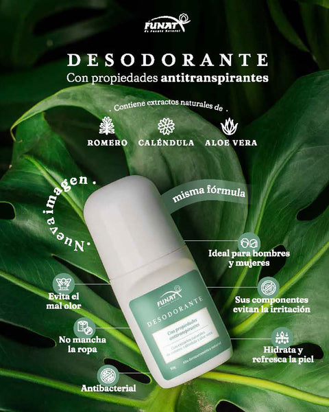 Desodorante#color_100-roll-on