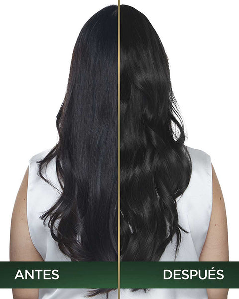 Tintura Nutrisse Oleos#color_100-1-0-negro