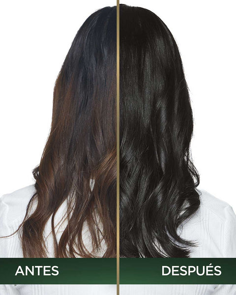 Tintura Nutrisse Oleos#color_101-3-0-castano-oscuro