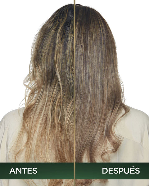 Tintura Nutrisse Oleos#color_105-8-12-rubio-cenizo-nacarado-claro