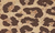 Estampado Animal
